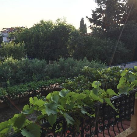 Apartments And Rooms Sinka Biograd Na Moru Exterior foto